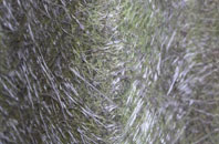 Wick fibreglass roof work